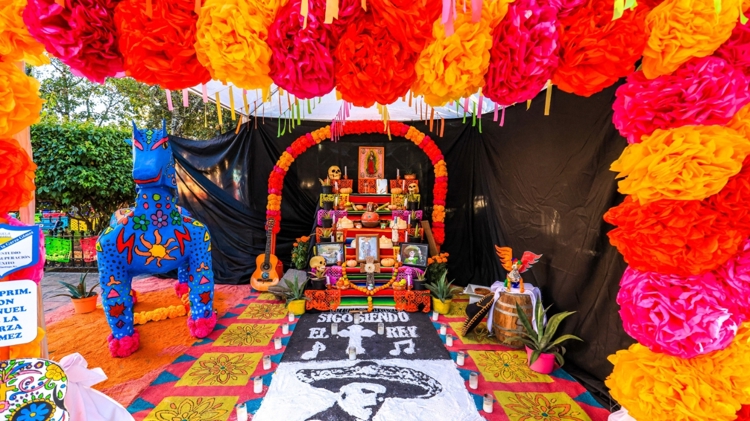 imagen-cuerpo imagen-cuerpo