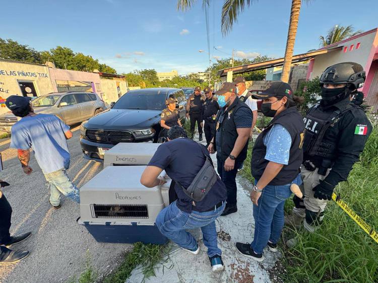 imagen-cuerpo imagen-cuerpo