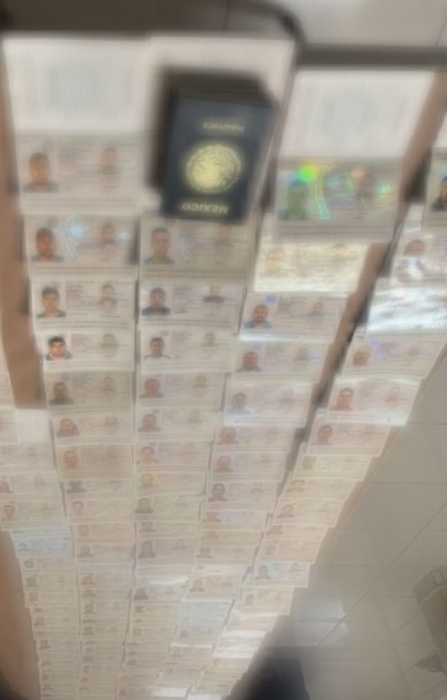 imagen-cuerpo imagen-cuerpo