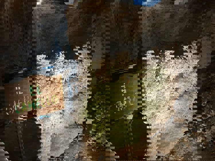 imagen-cuerpo imagen-cuerpo