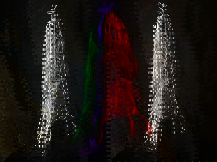 imagen-cuerpo imagen-cuerpo