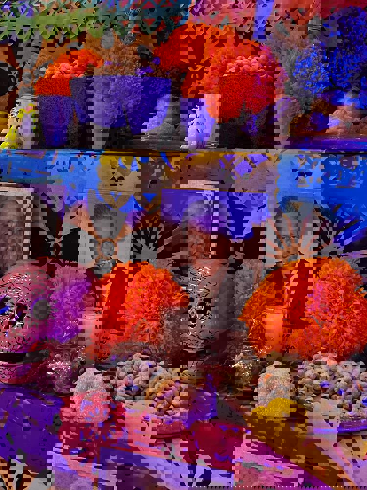 imagen-cuerpo imagen-cuerpo