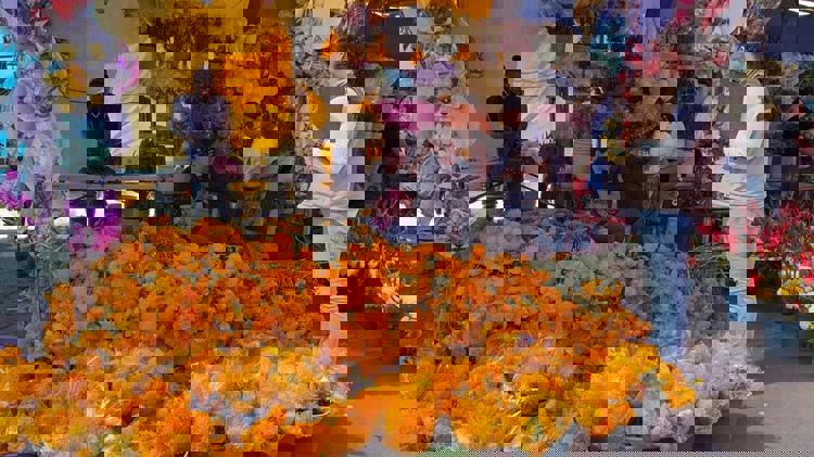 imagen-cuerpo imagen-cuerpo