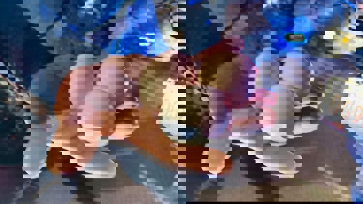 imagen-cuerpo imagen-cuerpo