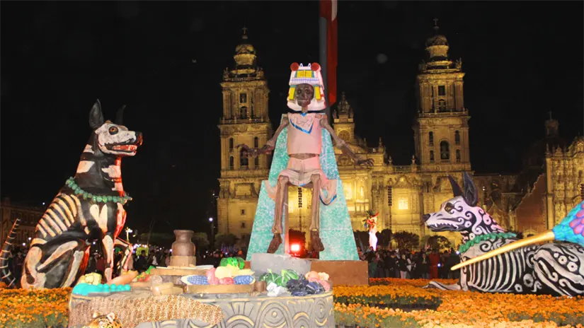 imagen recuadro Foto: Ximena Vargas