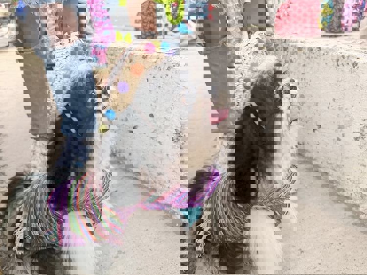 imagen-cuerpo imagen-cuerpo