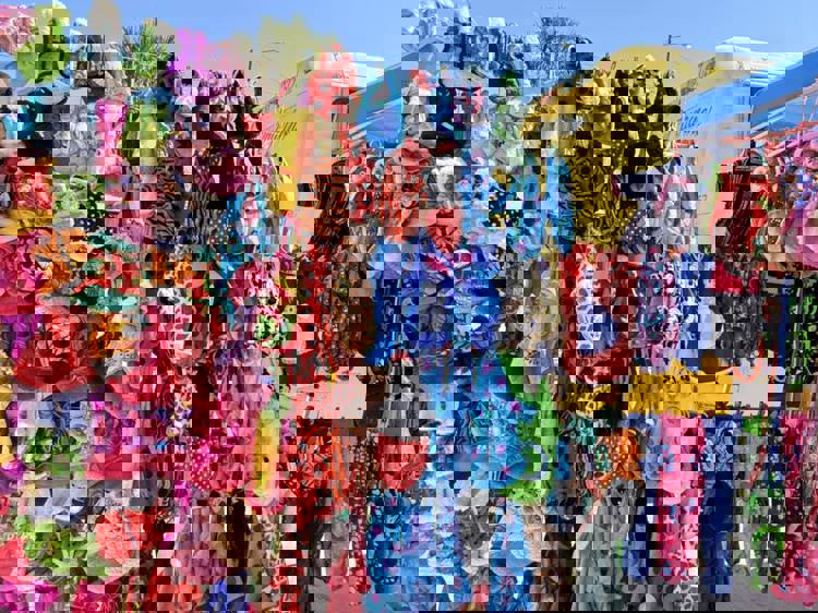 imagen-cuerpo imagen-cuerpo