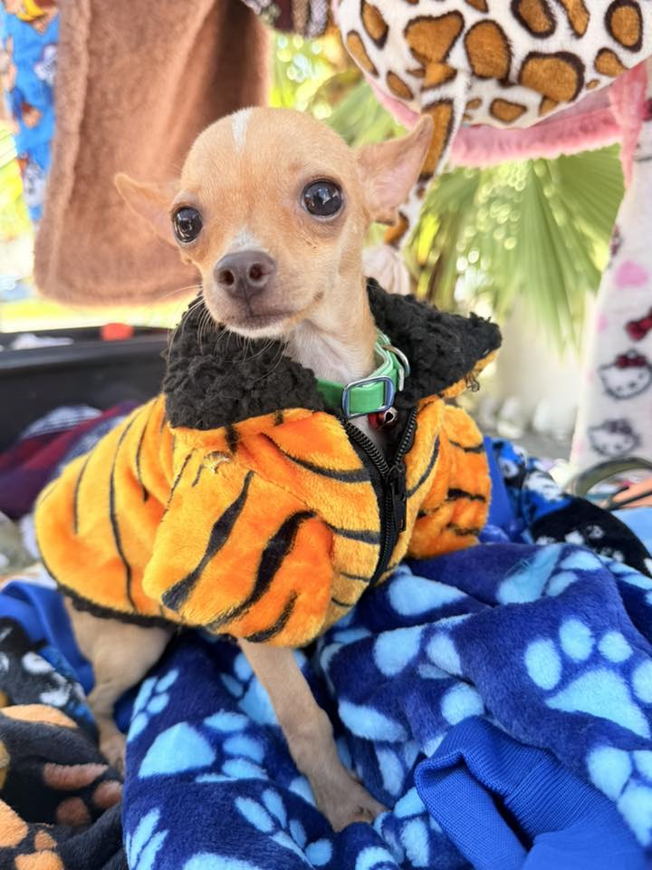 imagen-cuerpo imagen-cuerpo