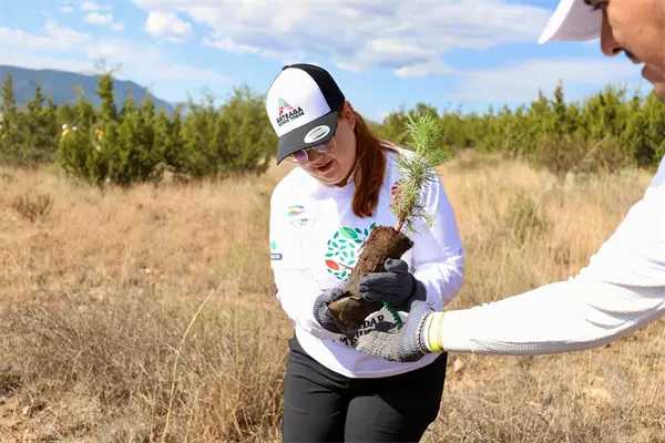 Arteaga impulsa la reforestación sembrando 2 mil árboles nativos