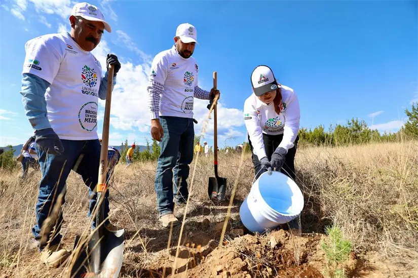 Foto: Facebook | Karen Sánchez Flores.