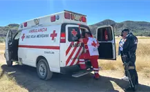 Ataque de abejas en Canatlán, Durango, deja 20 víctimas; hay una mujer grave