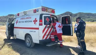 Ataque de abejas en Canatlán, Durango, deja 20 víctimas; hay una mujer grave