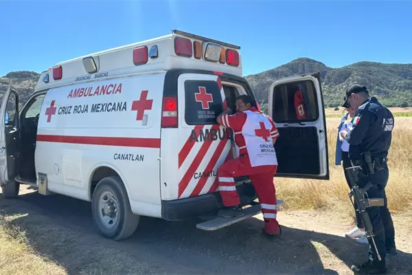 Ataque de abejas en Canatlán, Durango, deja 20 víctimas; hay una mujer grave Ataque de abejas en Canatlán, Durango, deja 20 víctimas; hay una mujer grave