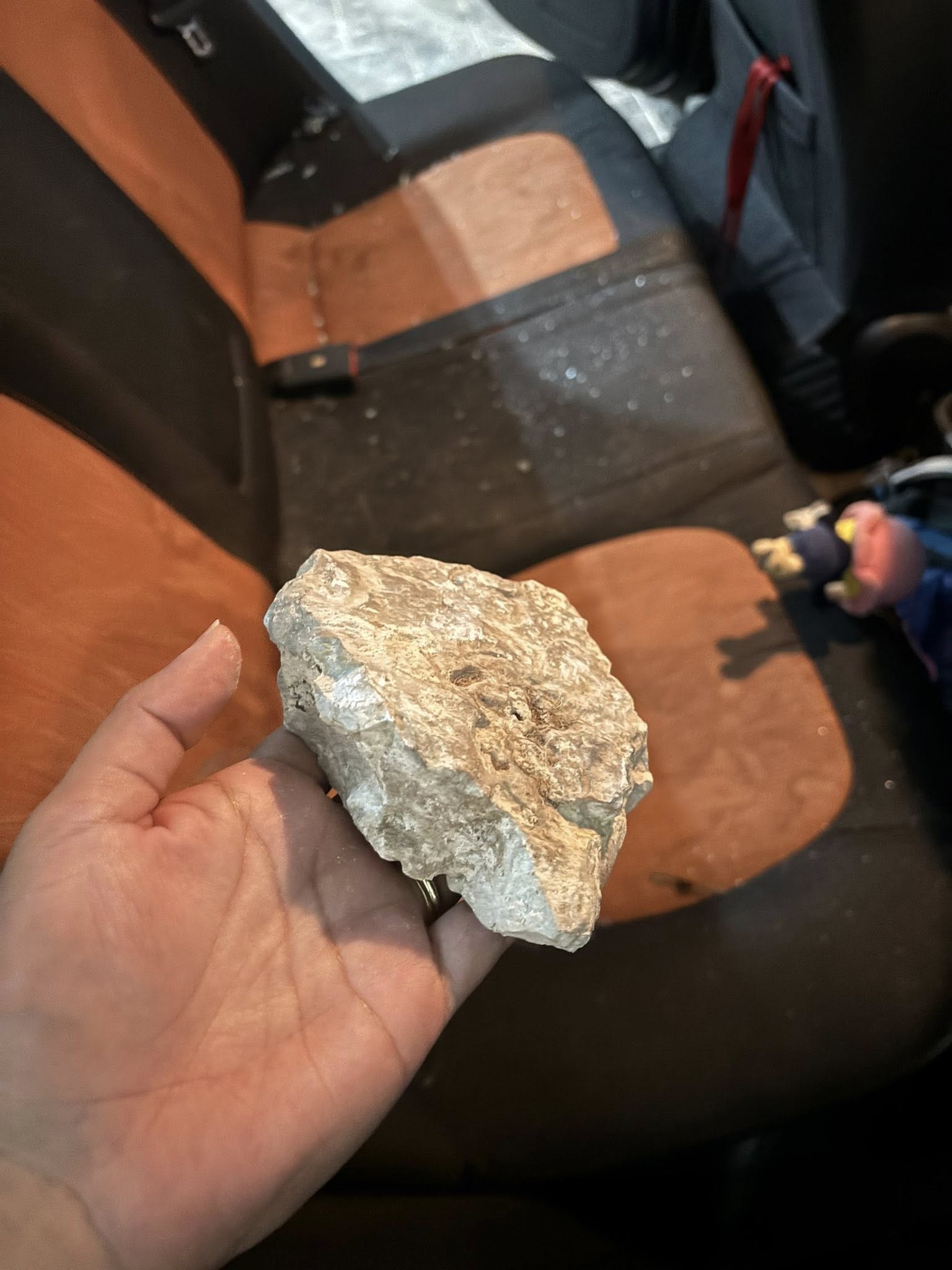 imagen-cuerpo imagen-cuerpo