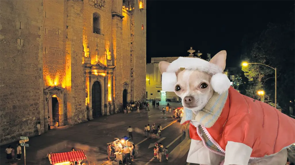 Frente frío 12 continuará la heladez durante este domingo 2 de noviembre en Yucatán