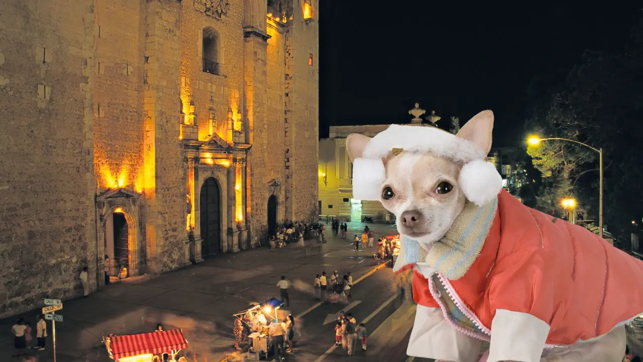 Los efectos de la masa polar se empezarán a sentir durante la noche Foto: Canva