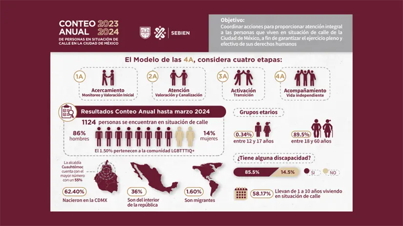 Conteo Anual personas en situación de calle México | SEBIEN