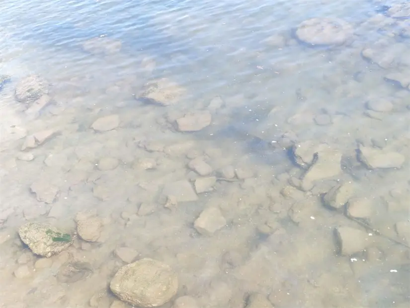imagen recuadro Basura en el agua del malecón. Foto: Héctor Romero / POSTA Baja California Sur.