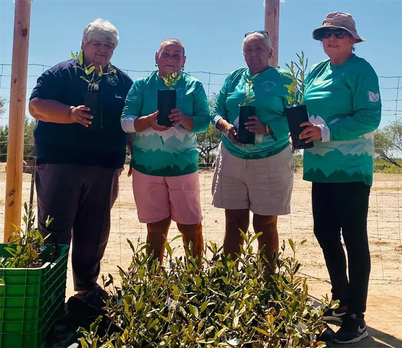 Foto: Guardianas Del Conchalito / Facebook.