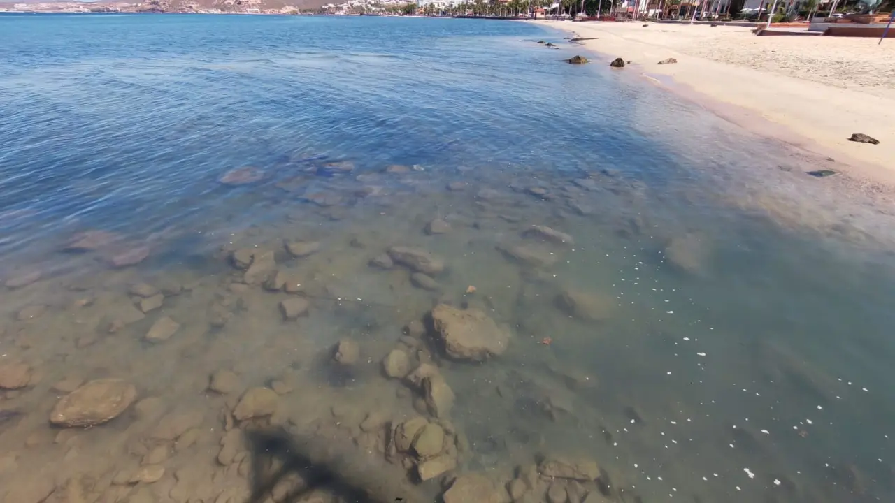 Contraste del agua del Malecón de La Paz, contaminada por deshechos. Foto: Héctor Romero / POSTA Baja California Sur.