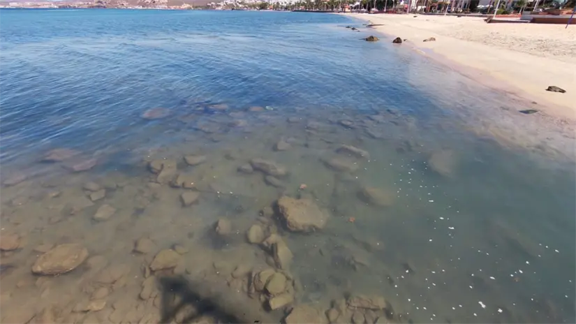 imagen recuadro Foto: Héctor Romero / POSTA Baja California Sur.