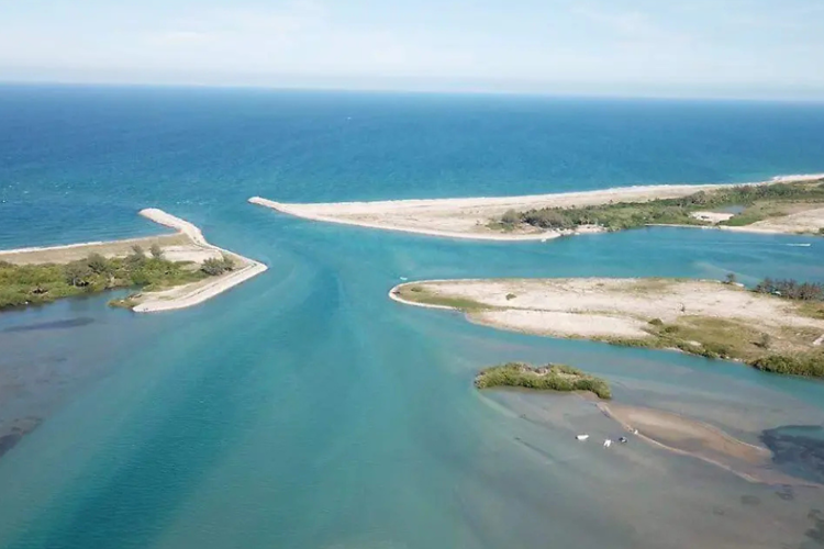 imagen-cuerpo imagen-cuerpo