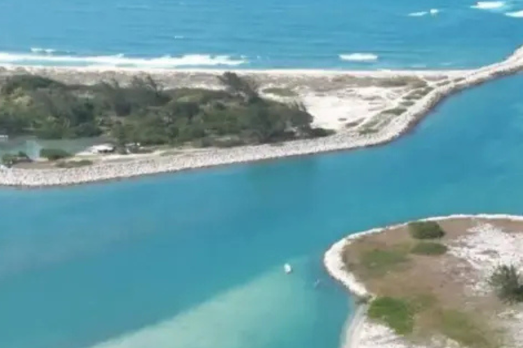 imagen-cuerpo imagen-cuerpo