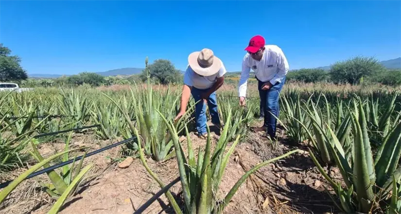 imagen recuadro imagen recuadro