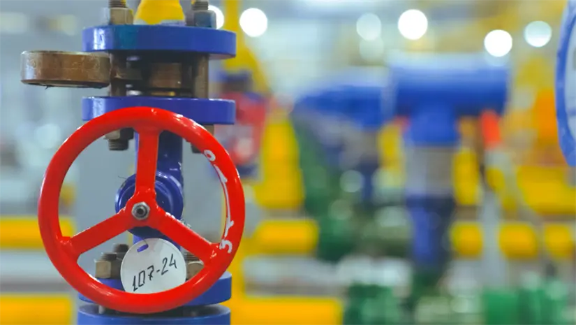 imagen recuadro Foto: Canva.