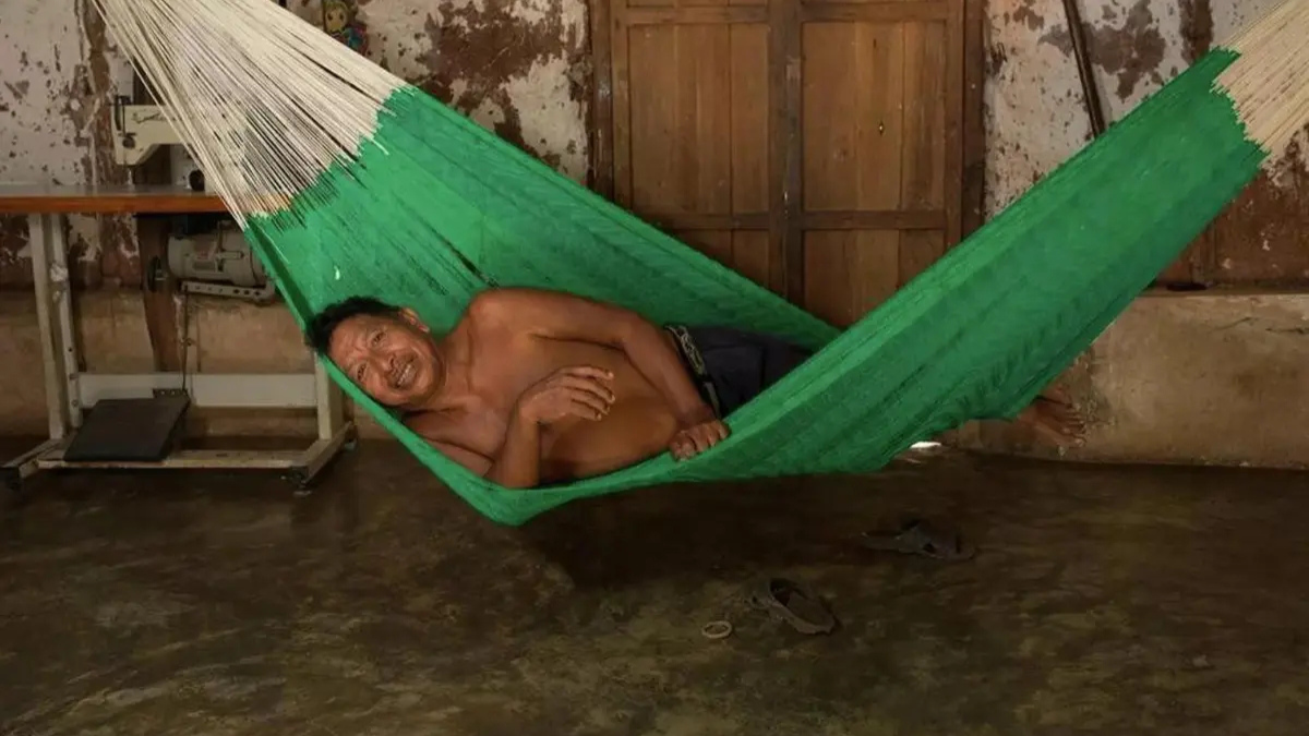 imagen-cuerpo imagen-cuerpo