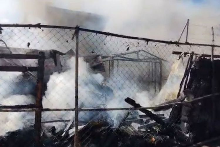 imagen-cuerpo imagen-cuerpo