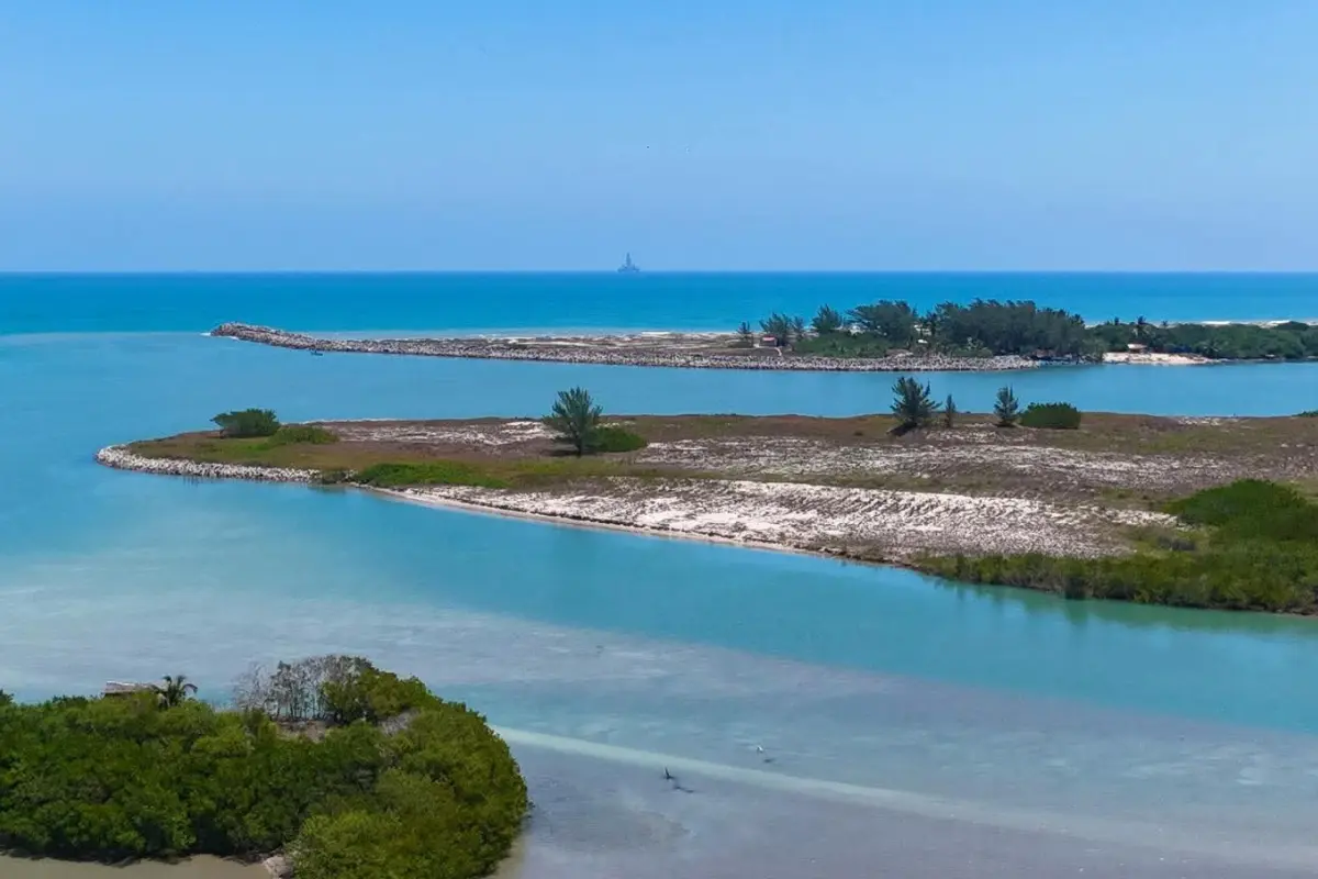 La Isla de Tampachiche, un paraíso cerca de Tampico, Tamaulipas, destaca por sus aguas cristalinas y su belleza natural.
