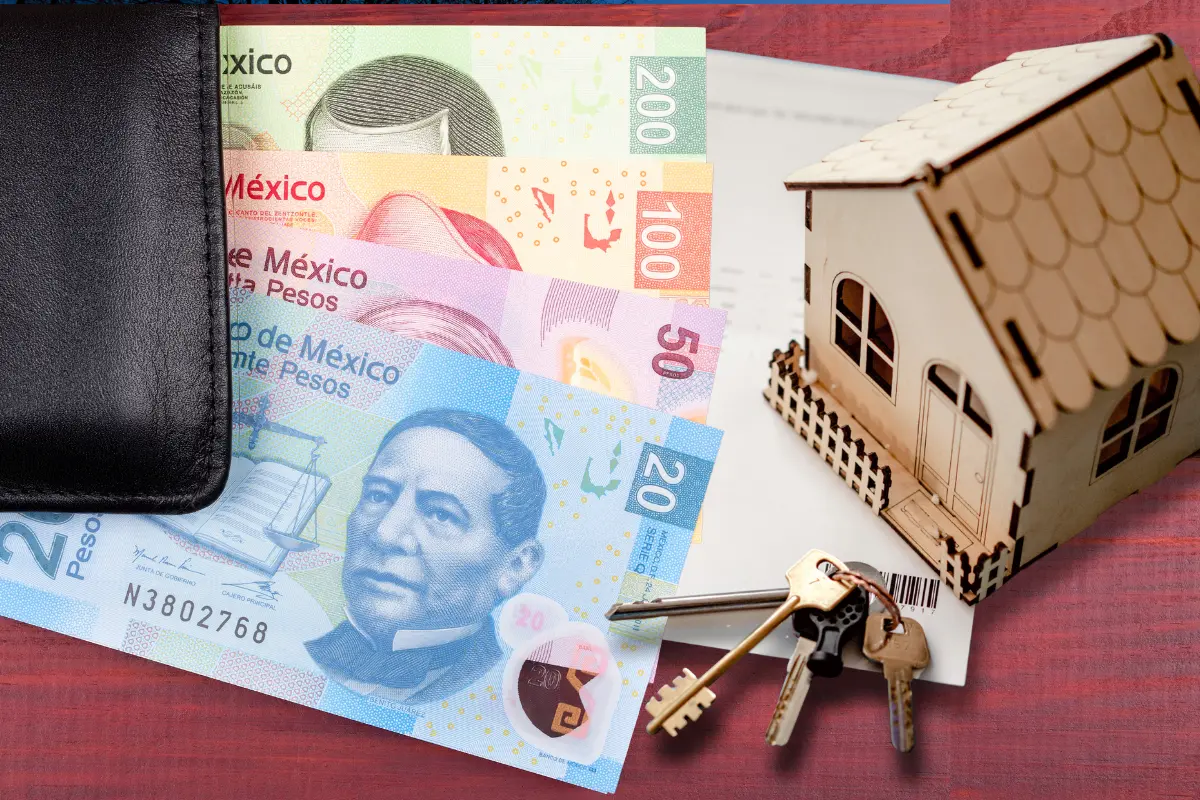 Aprende a obtener 160 mil pesos de Infonavit cumpliendo con tus responsabilidades en el IMSS y Afore. Foto: Canva