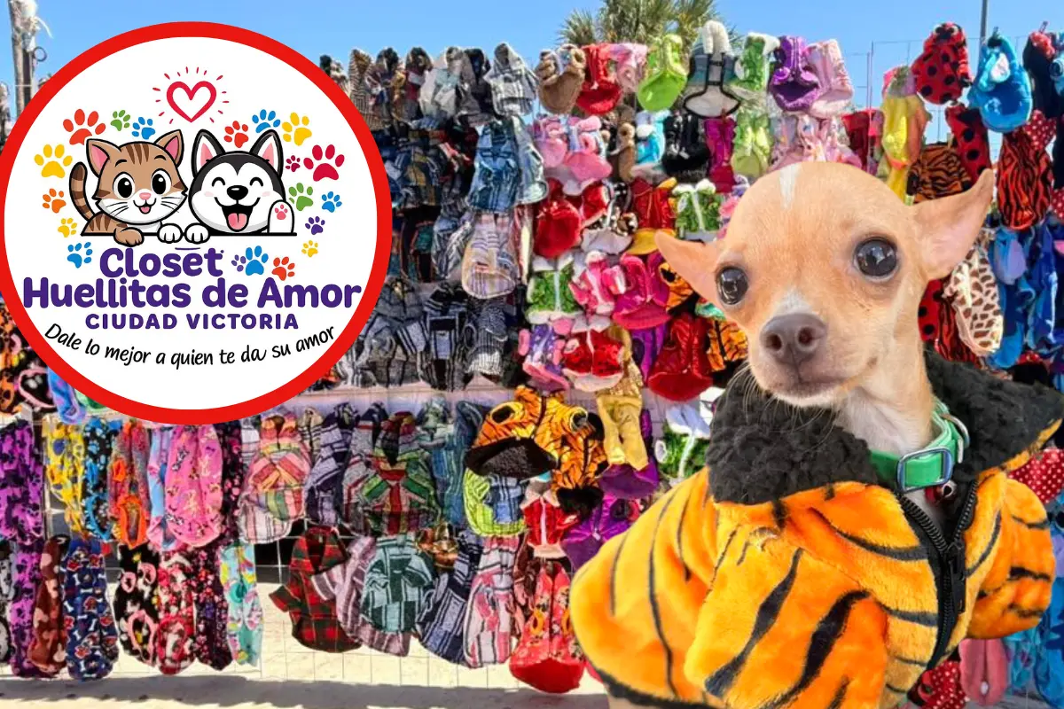 Viste a tus mascotas con estilo en closet huellitas de amor y contribuye a la ayuda de albergues de animales en Ciudad Victoria.