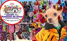 Negocio en Ciudad Victoria combina moda para mascotas y apoyo a albergues