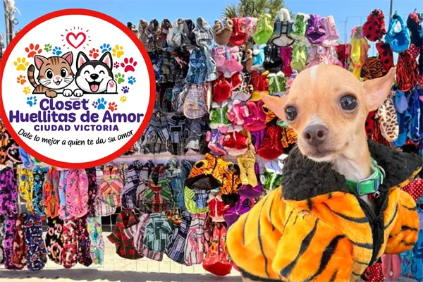 Negocio en Ciudad Victoria combina moda para mascotas y apoyo a albergues Negocio en Ciudad Victoria combina moda para mascotas y apoyo a albergues