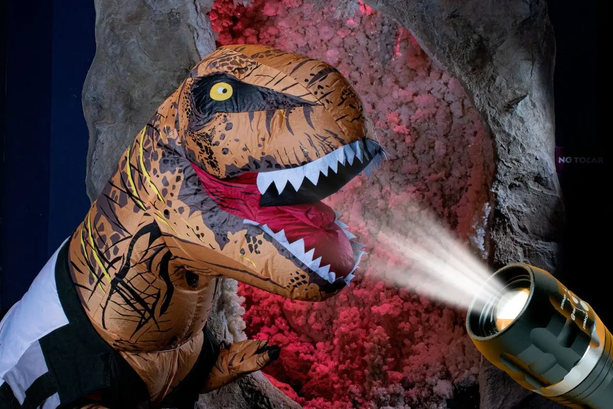 MUDE destaca éxito total de la Noche de las Linternas en Saltillo / Foto: MUDE | Canva