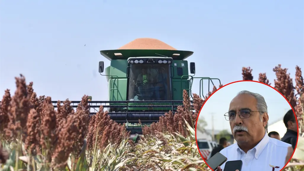 Productores de Tamaulipas, con lugar asegurado en negociaciones federales sobre precios agrícolas: Varela