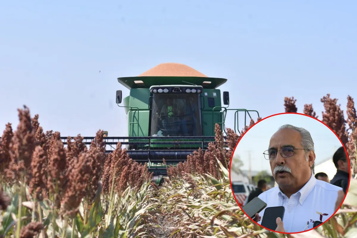 Los productores agrícolas de Tamaulipas atraviesan semanas intensas, entre protestas, reuniones y una preocupación genuina: garantizar un precio justo para las cosechas que se avecinan. Foto: Posta Tamaulipas