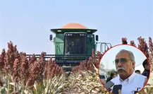 Productores de Tamaulipas, con lugar asegurado en negociaciones federales sobre precios agrícolas: Varela