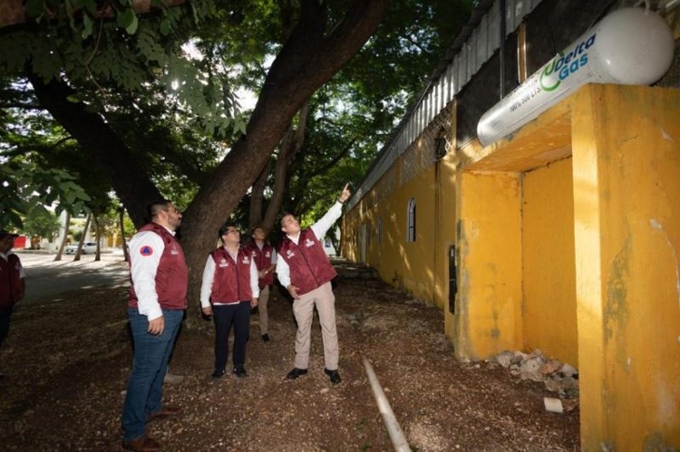 imagen-cuerpo imagen-cuerpo