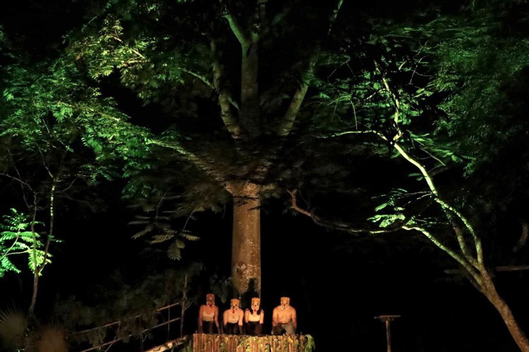 imagen-cuerpo imagen-cuerpo