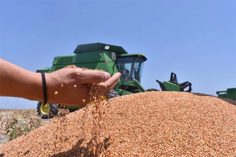 imagen recuadro imagen recuadro