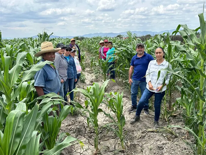 imagen recuadro imagen recuadro