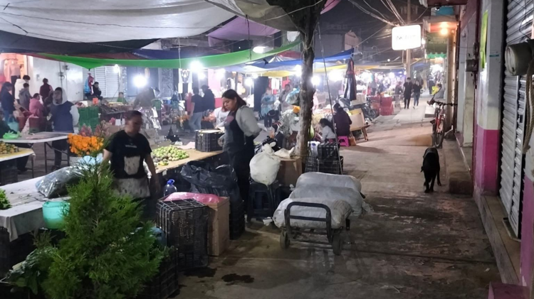 imagen-cuerpo imagen-cuerpo