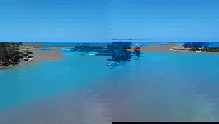 imagen-cuerpo imagen-cuerpo