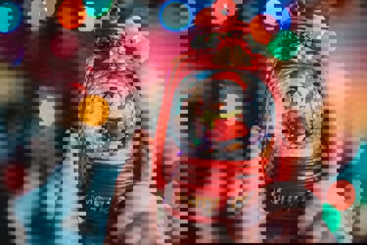 imagen-cuerpo imagen-cuerpo