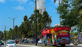 Solo el 30% de carros en Tamaulipas cuentan con un seguro, según AMASFAC