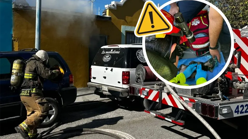 Tragedia en Ramos Arizpe: altar provoca incendio y perrito pierde la vida