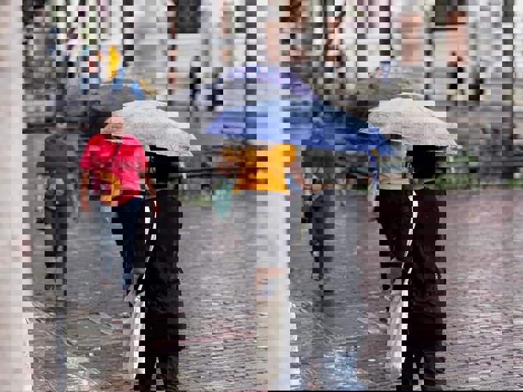 imagen-cuerpo imagen-cuerpo